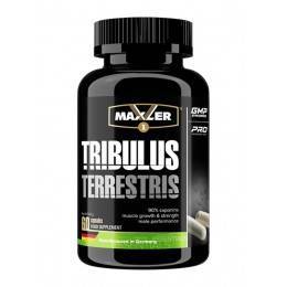 Трибулус террестрис бесполезен как бустер тестостерона. отзывы учёных