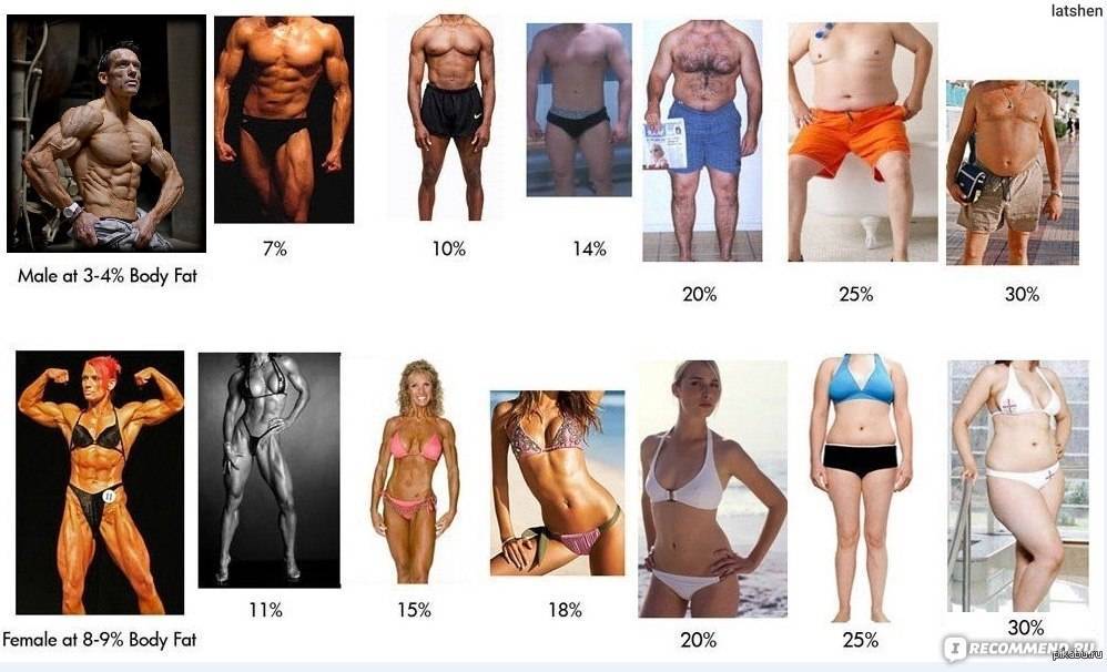 Процент жира в организме: нормы для мужчин и женщин