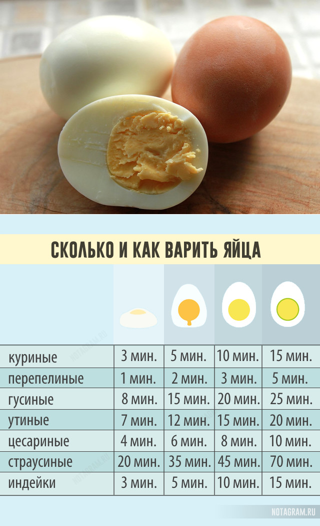 Можно ли есть вареные яйца на диете: питание для похудения