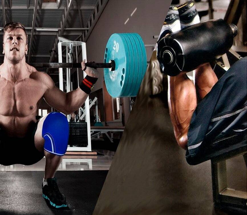 5 лучших программ тренировки для набора мышечной массы