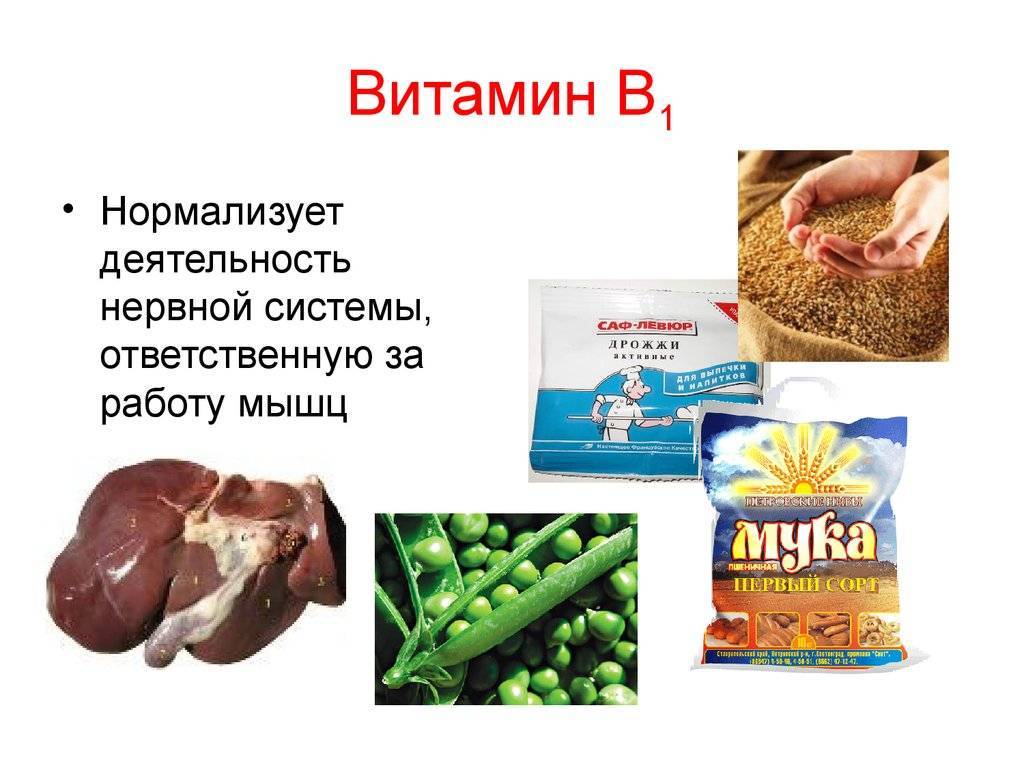 Для чего нужны витамины группы в, в каких продуктах они содержатся и нормы потребления витаминов группы b