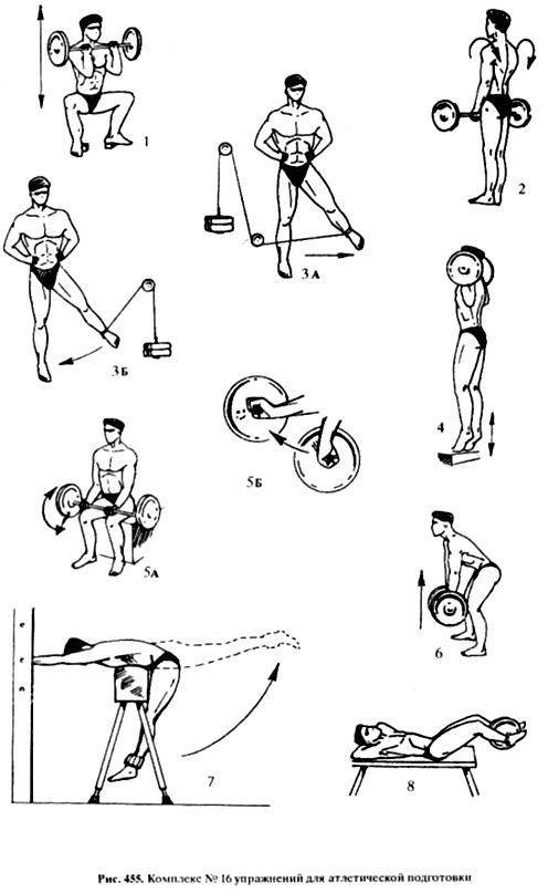 Атлетическая гимнастика: комплекс упражнений для начинающих. атлетическая гимнастика как средство развития физических качеств