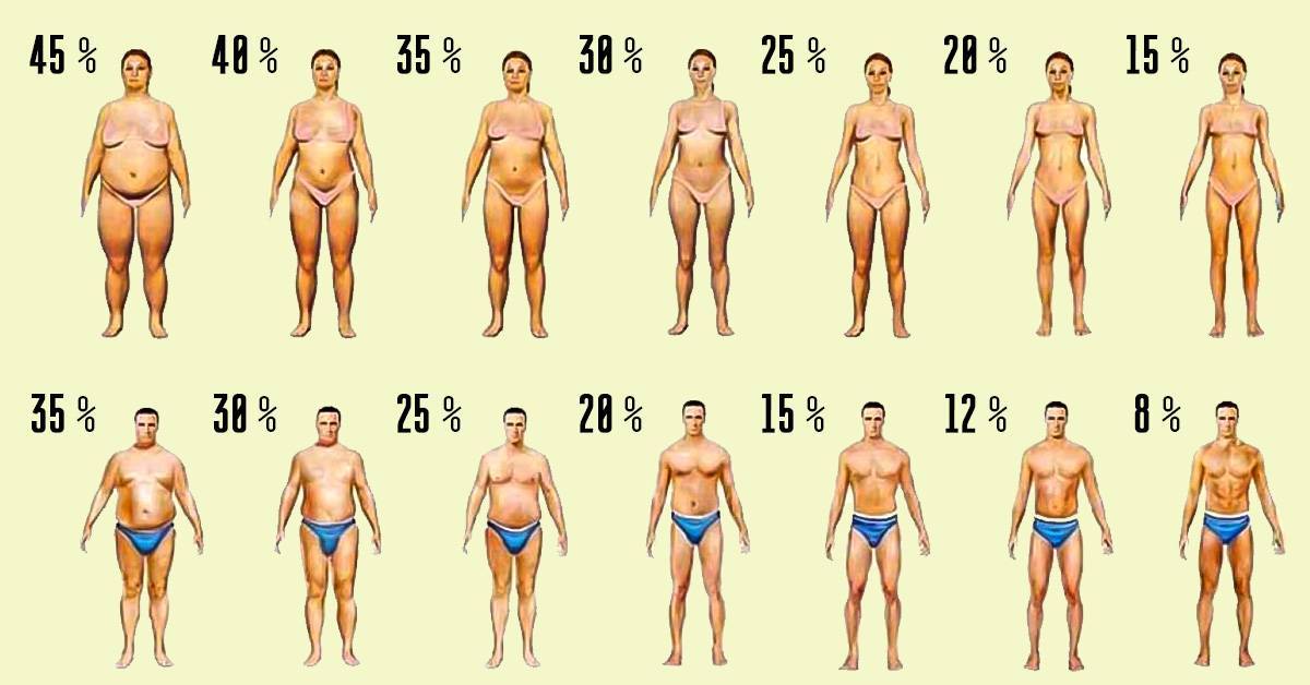 Как определить процент жира в организме: простые способы