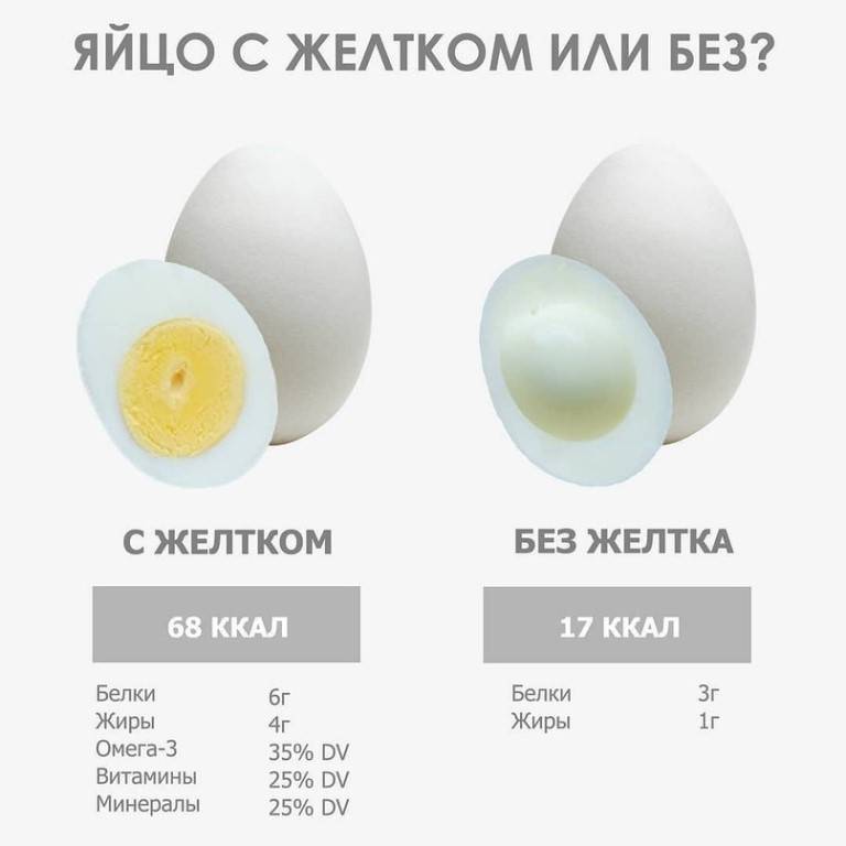 Сколько яиц можно съедать в день. все о яйцах