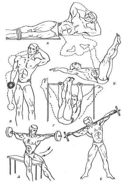 Как накачать шею: эффективная тренировка мышц шеи