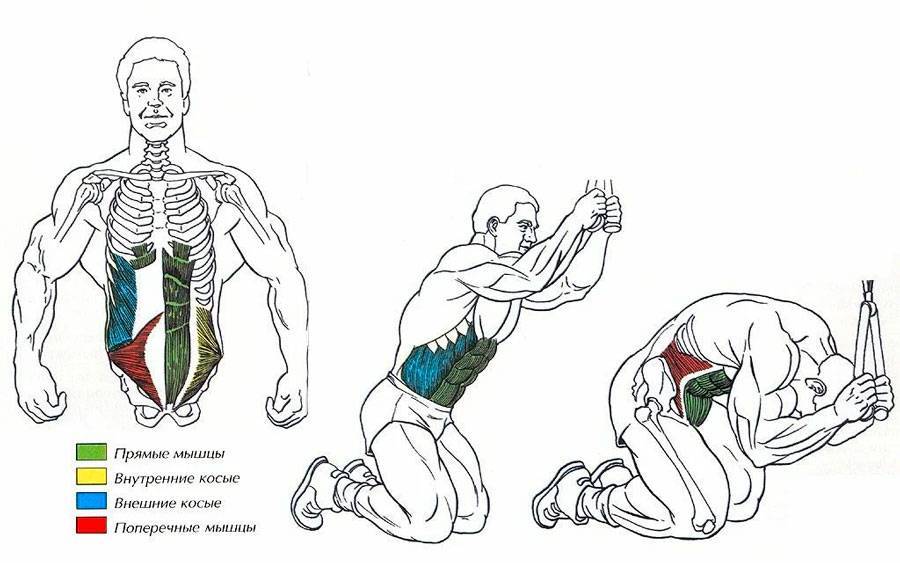 Тренировка глубоких мышц для плоского живота и здоровой поясницы
