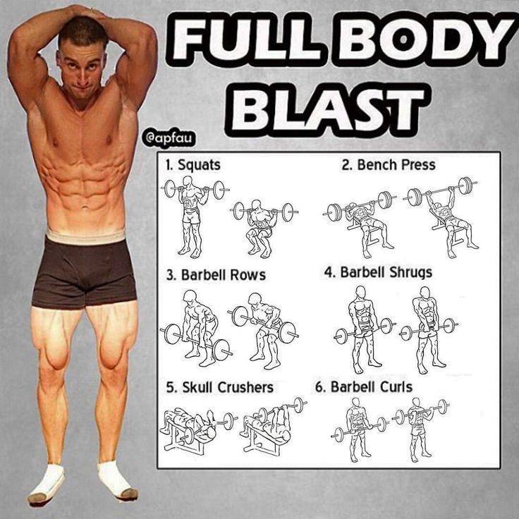 Фулбоди (full body) — силовая тренировка на все тело