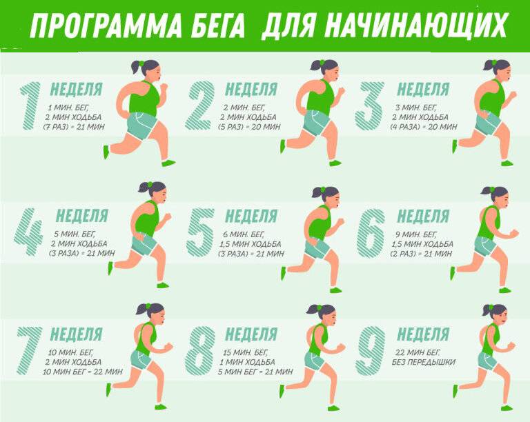 Как правильно бегать, чтобы похудеть? когда и сколько нужно бегать для похудения?