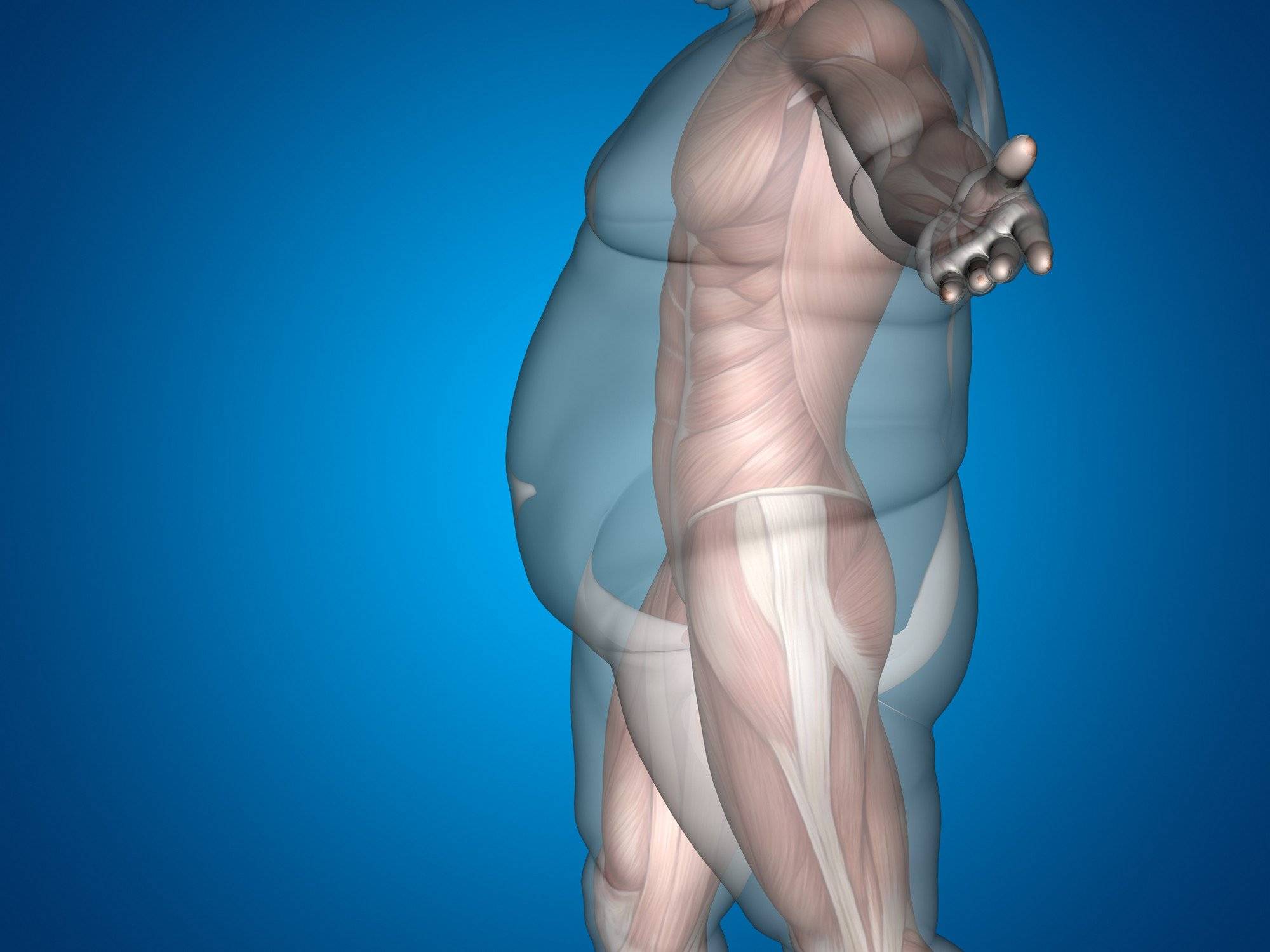 50 оттенков жира: о чем расскажут его отложения в разных частях тела и как с этим бороться :: инфониак