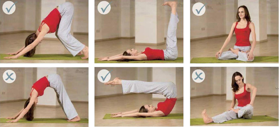 Йога для начинающих дома — обзор основных тренировок и базовых упражнений. основные понятия современных практик (135 фото и видео)