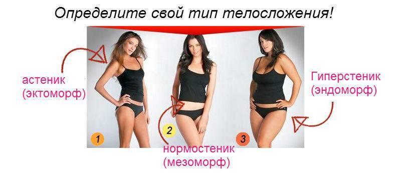Женское телосложение: эктоморфы, мезоморфы, эндоморфы