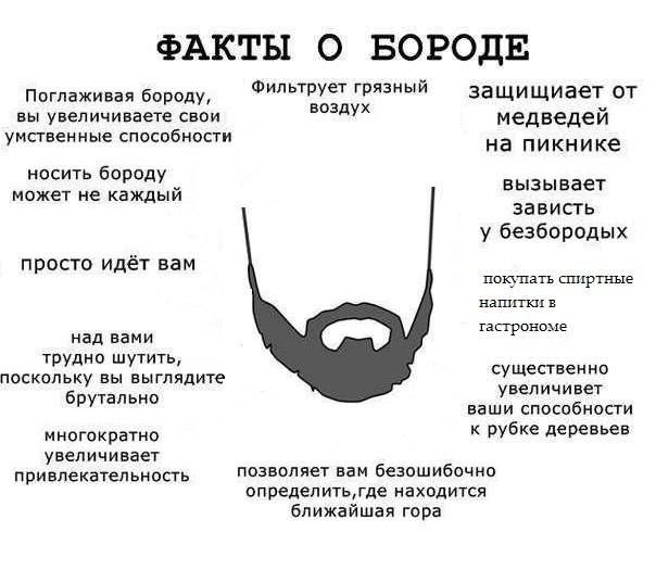 Стоит ли отращивать бороду: какие есть плюсы и минусы? все что нужно знать о бороде или ода брадости