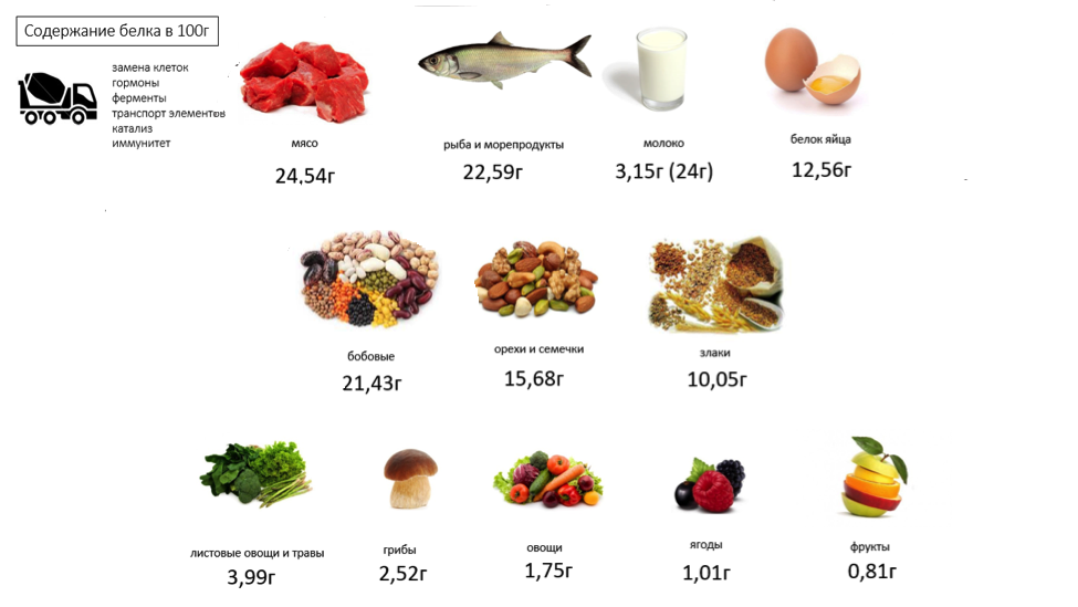 Продукты, богатые белком – список в таблице с указанием содержания