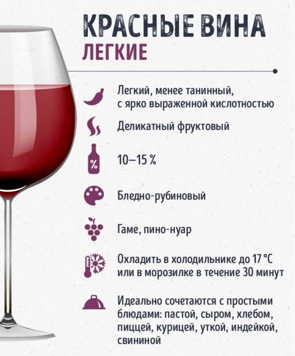 Как выбрать хорошее вино: советы известного винного блогера