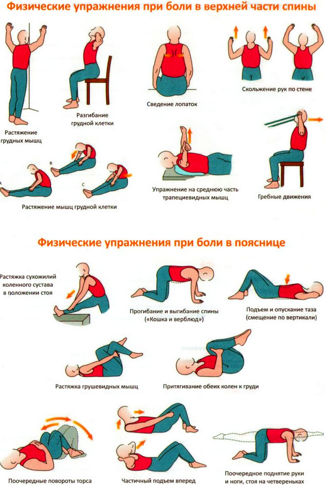 Самые эффективные упражнения от боли в спине и пояснице