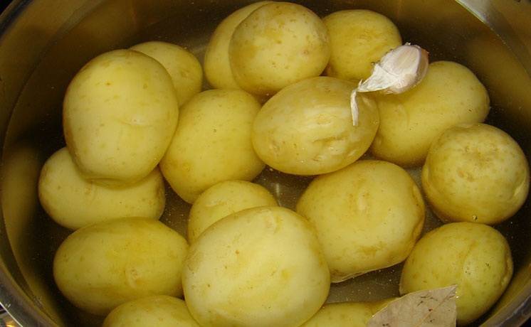 Картошка: польза и вред, рецепты необычных блюд