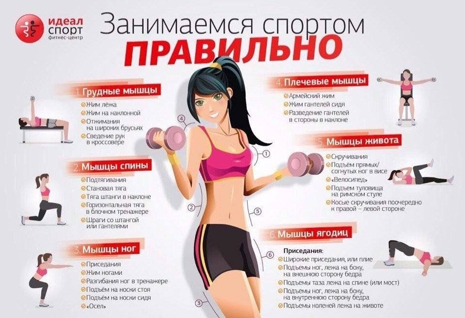 Тренировки дома для девушек на все группы мышц: самые эффективные комплексы упражнений