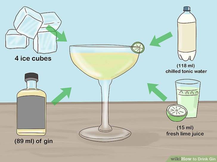 Как правильно пить джин: самые интересные способы и идеальная закуска