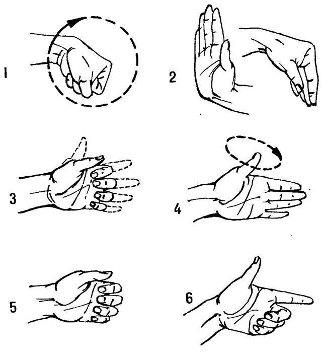 Комплекс гимнастики для пальцев рук