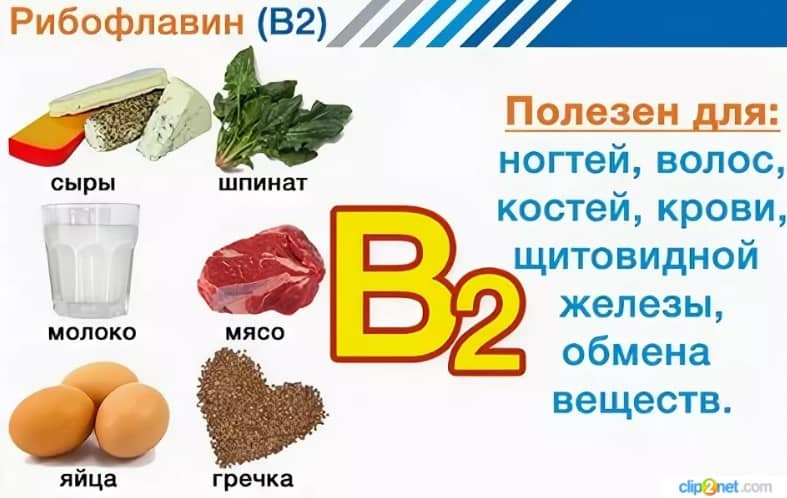 Тиамин (витамин b1)