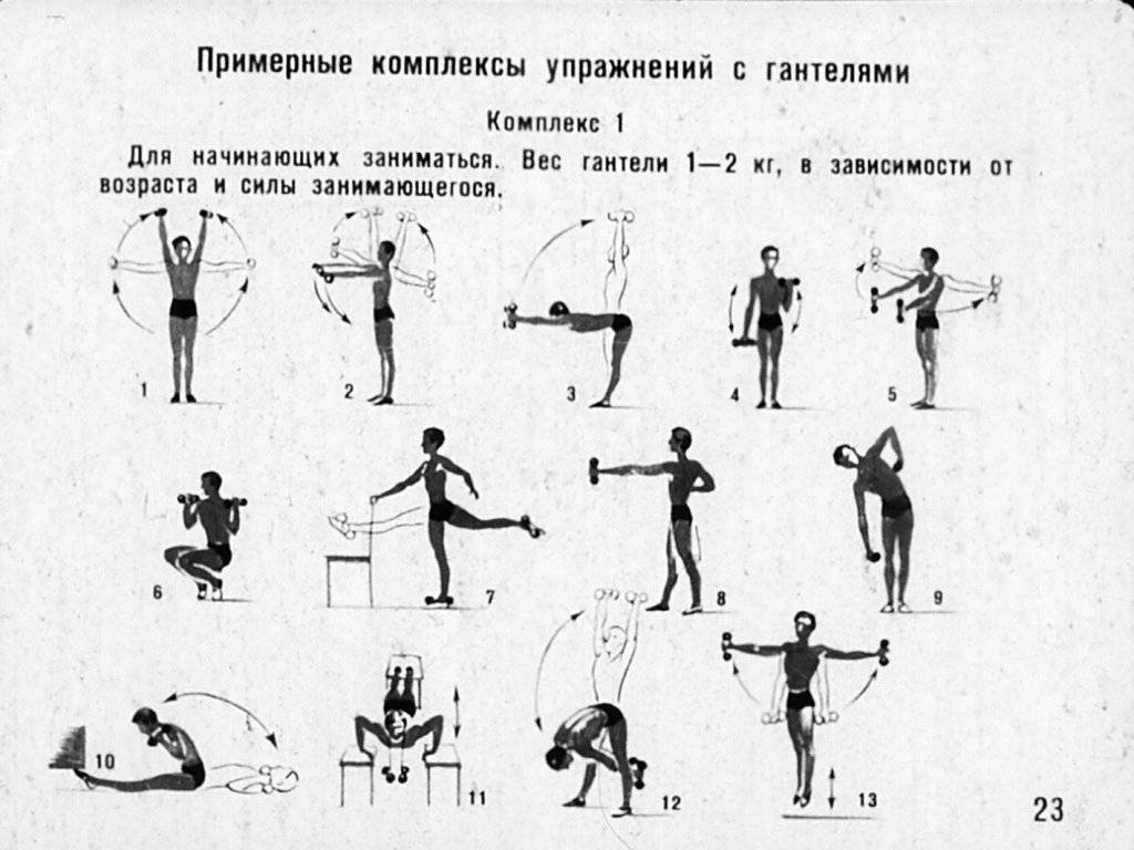Атлетическая гимнастика: комплекс упражнений для начинающих. атлетическая гимнастика и ее виды
