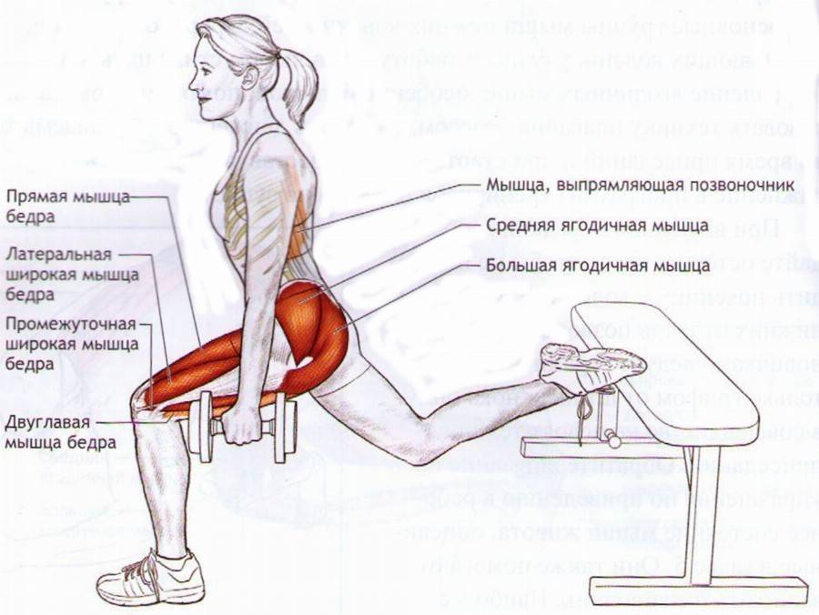 Приседания со штангой: техника выполнения, какие мышцы работают
