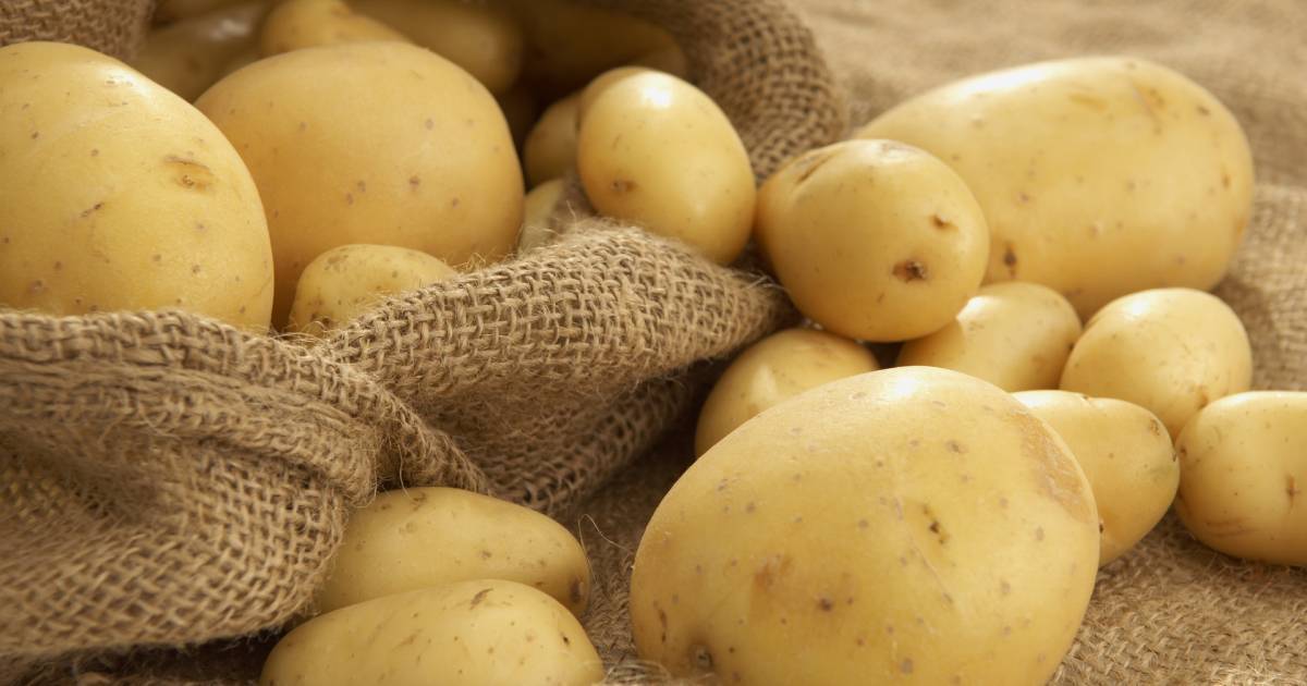 Картофельное пюре: польза и вред