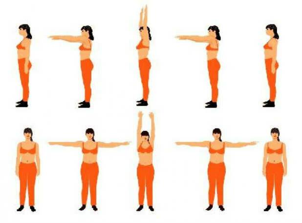 Упражнения для рук и плеч в домашних условиях: 11 эффективных упражнений с гантелями для женщин и мужчин с фото
