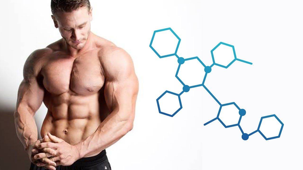 Продукты, содержащие мужские гормоны и список снижающих уровень тестостерона