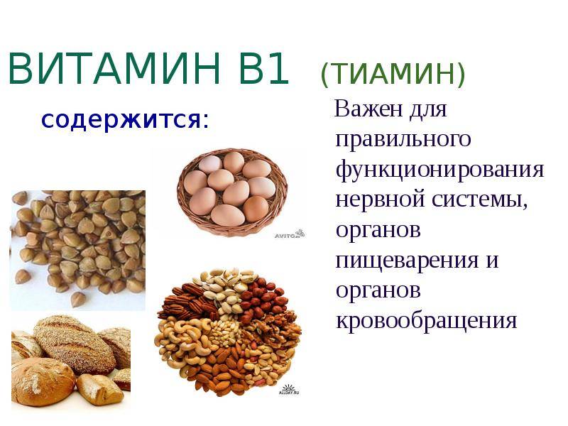 В каких продуктах содержится витамин в1?