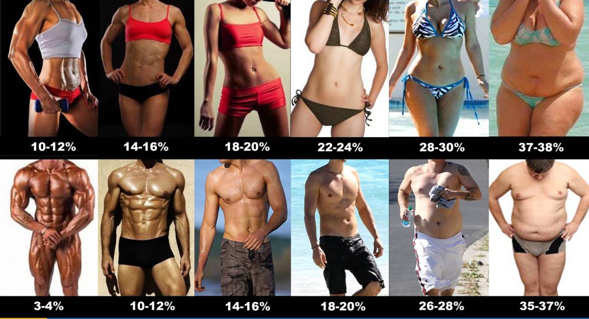 Процент жира в организме: норма подкожных и висцеральных отложений для женщин и мужчин